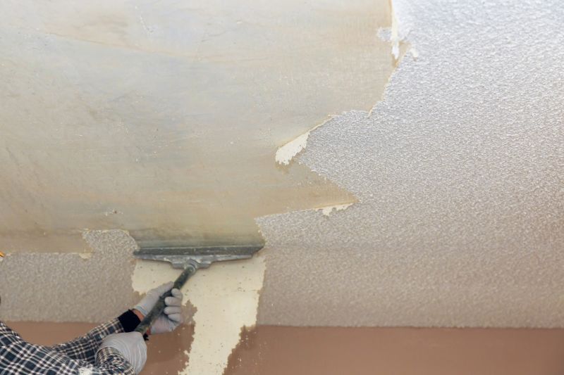 Ceiling Texturing Service