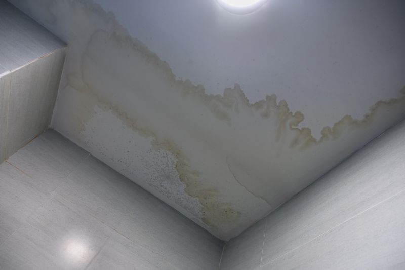 Ceiling Texturing Service detail